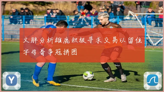 文胖分析雄鹿积极寻求交易以留住字母哥争冠拼图